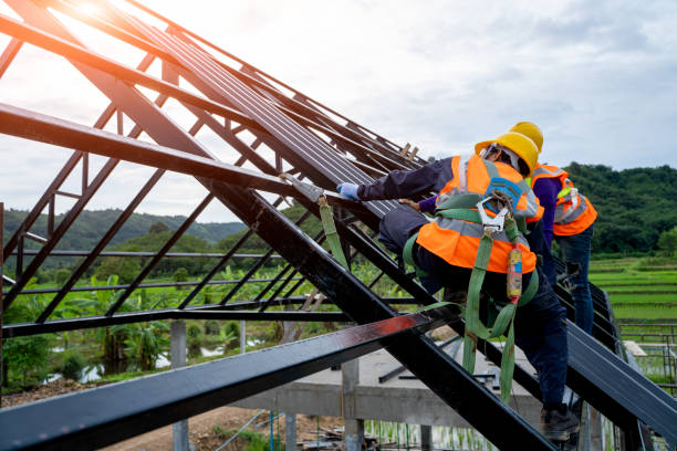 Best Roof Restoration Services  in Van Meter, IA