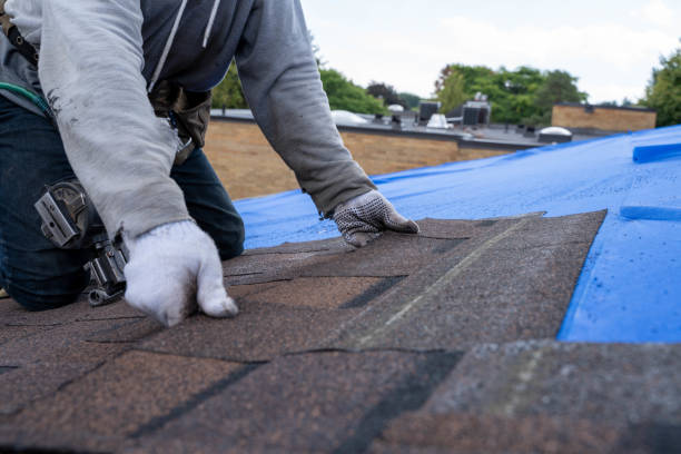 Best Roof Waterproofing Services  in Van Meter, IA