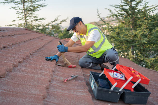 Best Tile Roofing Contractor  in Van Meter, IA