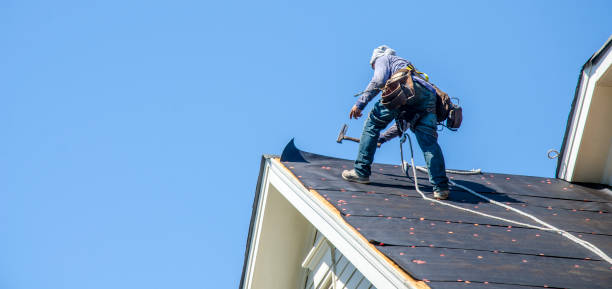 Best Best Roofing Contractors  in Van Meter, IA